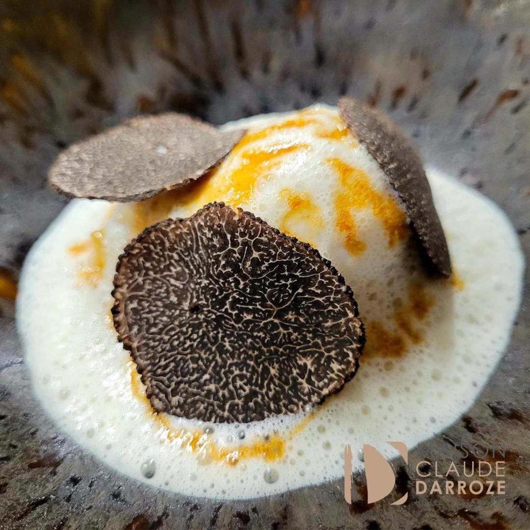 Logis Hotel - Restaurant Maison Claude Darroze 랑공 외부 사진